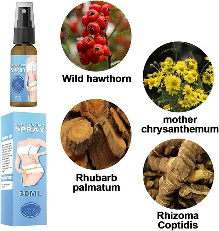 Fat Burner Slimming Spray 30 ml (Pack of 1) 1pas00-1a