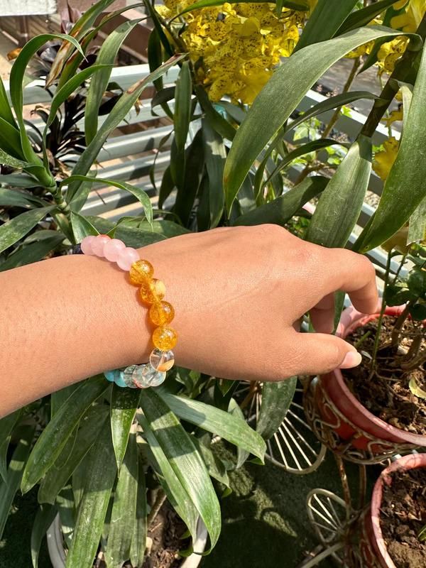 Education Bracelet 1pas00-1a